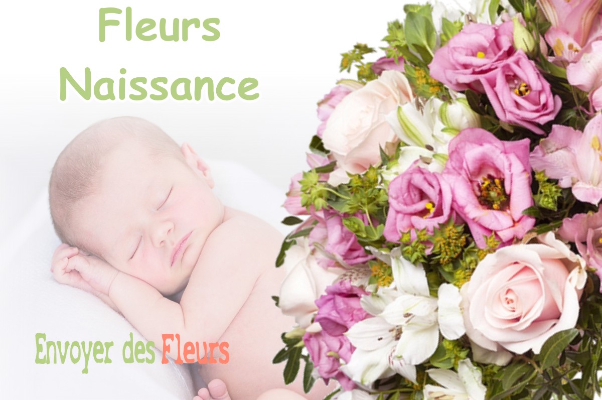 lIVRAISON FLEURS NAISSANCE à MANGIENNES